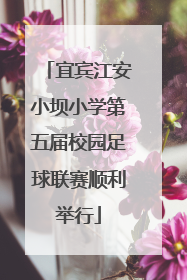 宜宾江安小坝小学第五届校园足球联赛顺利举行